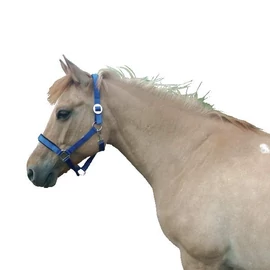 Kötőfék, párnázott, full méret, kék