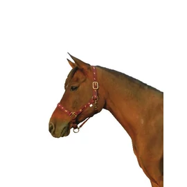Kötőfék, lovas mintával, cob méret