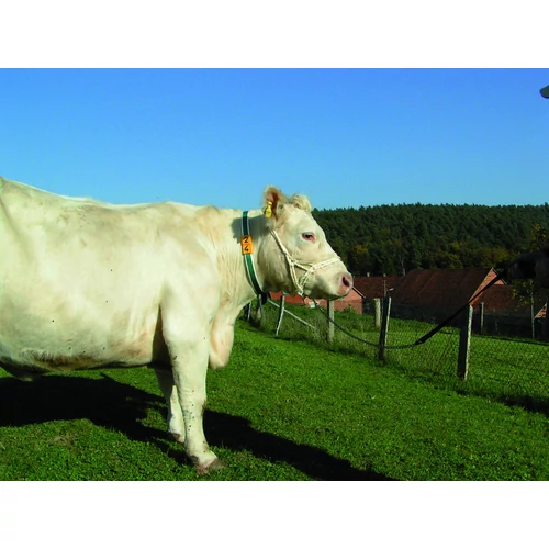 Kötél kötőfék, gyűrűvel