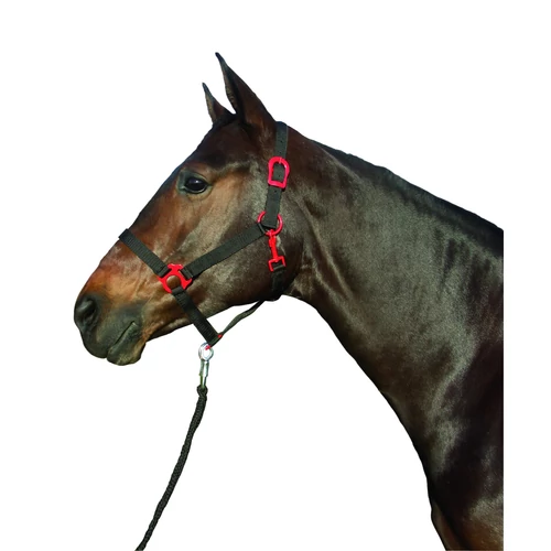 Kötőfék, színes szerelvényekkel, full méret, fekete