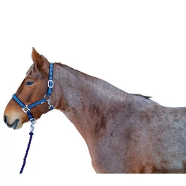 Kötőfék cob méret