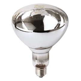 Infravörös izzók 250 W fehér Philips