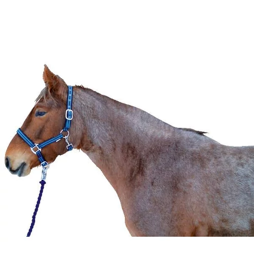 Kötőfék cob méret