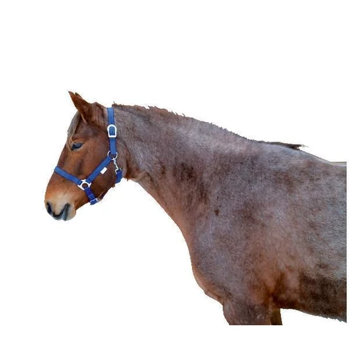 Kötőfék, csattal és karabinerrel, full méret, kék